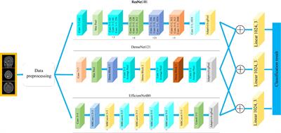 A robust approach for multi-type classification of brain tumor using deep feature fusion